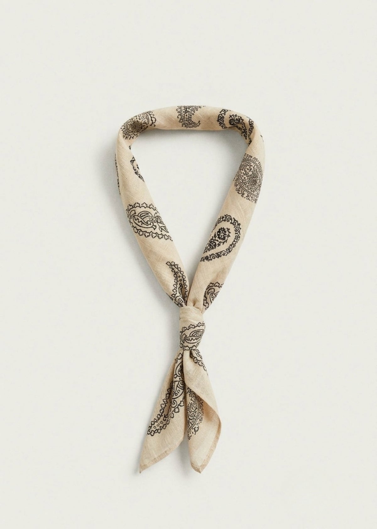Paisley Bandana